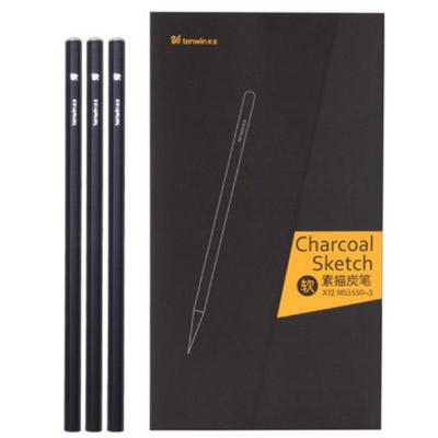 Charcoal Sketch Set