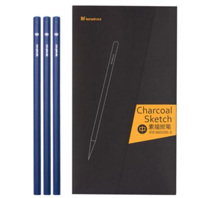 Charcoal Sketch Set